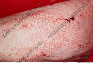 Photo Textures of RAW Pork Meat